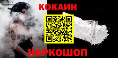 индика Камышлов