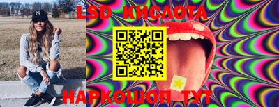 индика Камышлов