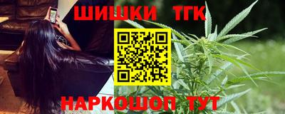 индика Камышлов