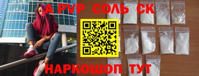 индика Камышлов