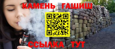 индика Камышлов