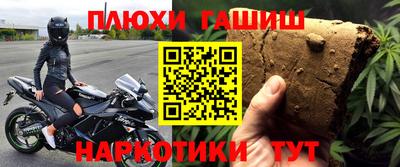 индика Камышлов