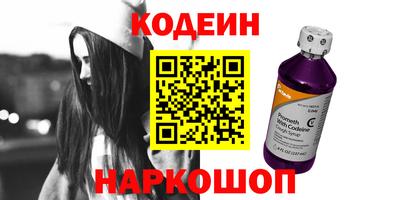 индика Камышлов
